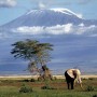 Национальный парк Килиманджаро