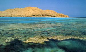 Красное море