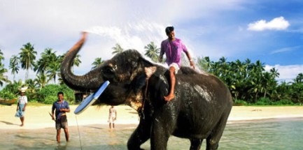 Достопримечательности Шри-Ланки