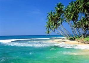 Солнечная Шри-Ланка