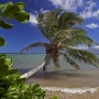 Что посмотреть на Гавайских островах?