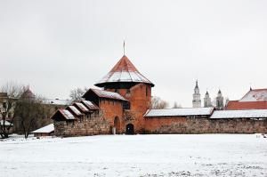 Замок Перкунаса