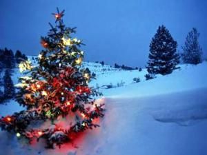 Новый Год и Рождество в горнолыжной Норвегии 