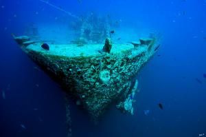 СС  Тистлегорм (SS Thistlegorm),