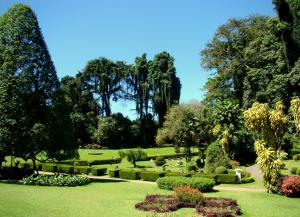 Королевский ботанический сад 