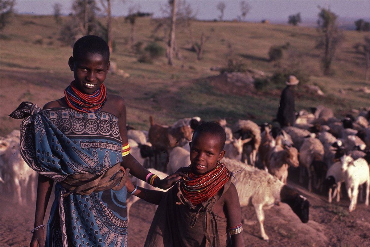 Народ в африке сканворд. Масаи народ Африки. Масаи племя. Масаи пастухи.
