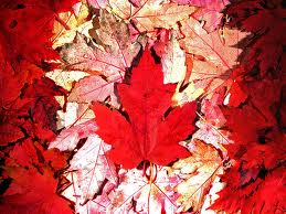 Кленовый лист из Канады