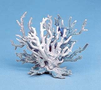 Веточка коралла